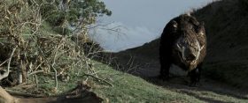 [Review] Ác thú – Ôi đúng là một bộ phim KINH DỊ